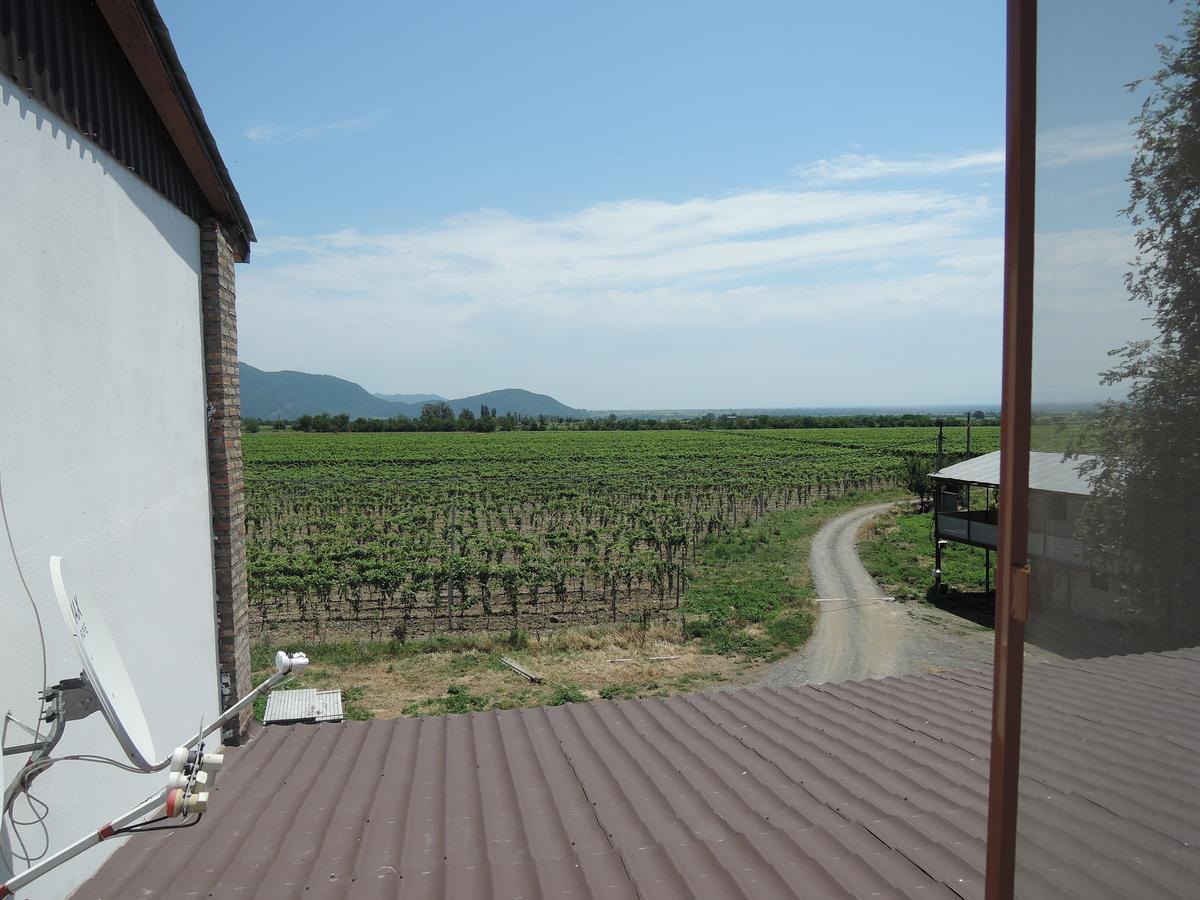Shaloshvili'S Cellar Hotel Shilda Exterior photo