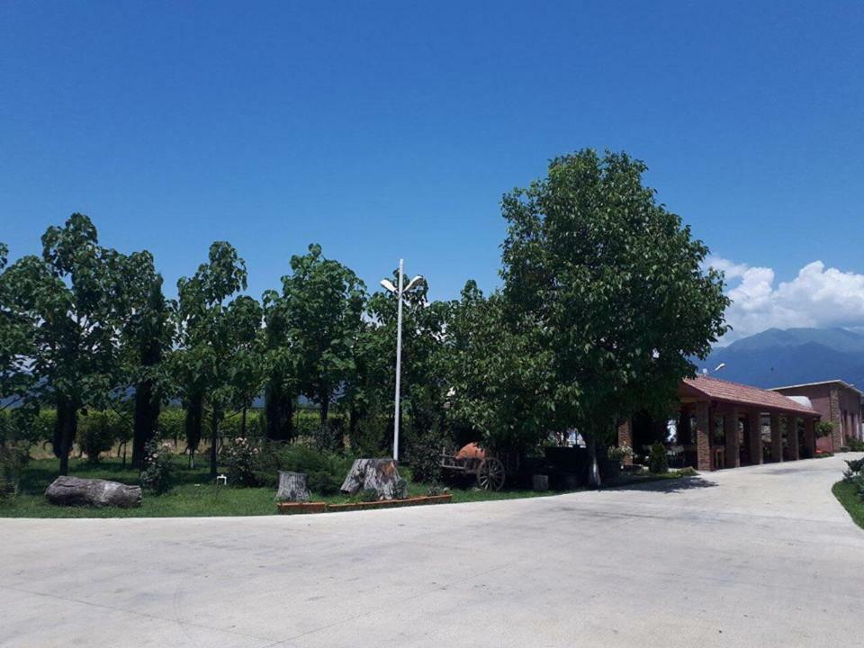 Shaloshvili'S Cellar Hotel Shilda Exterior photo