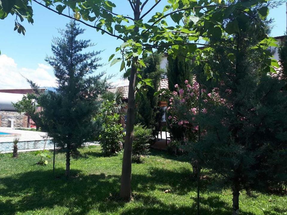 Shaloshvili'S Cellar Hotel Shilda Exterior photo
