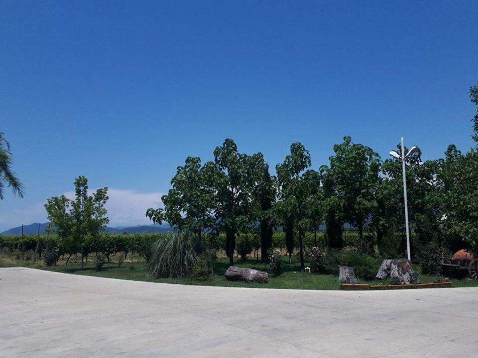 Shaloshvili'S Cellar Hotel Shilda Exterior photo